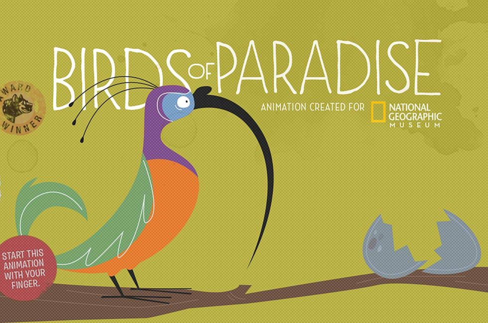 Birds of Paradise animation created for National Geographic Musuem. Start this animation with your finger.
