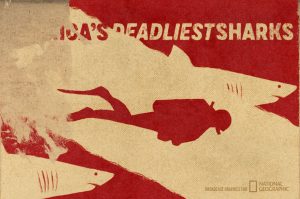 National Geographic Americas Deadliest Sharks