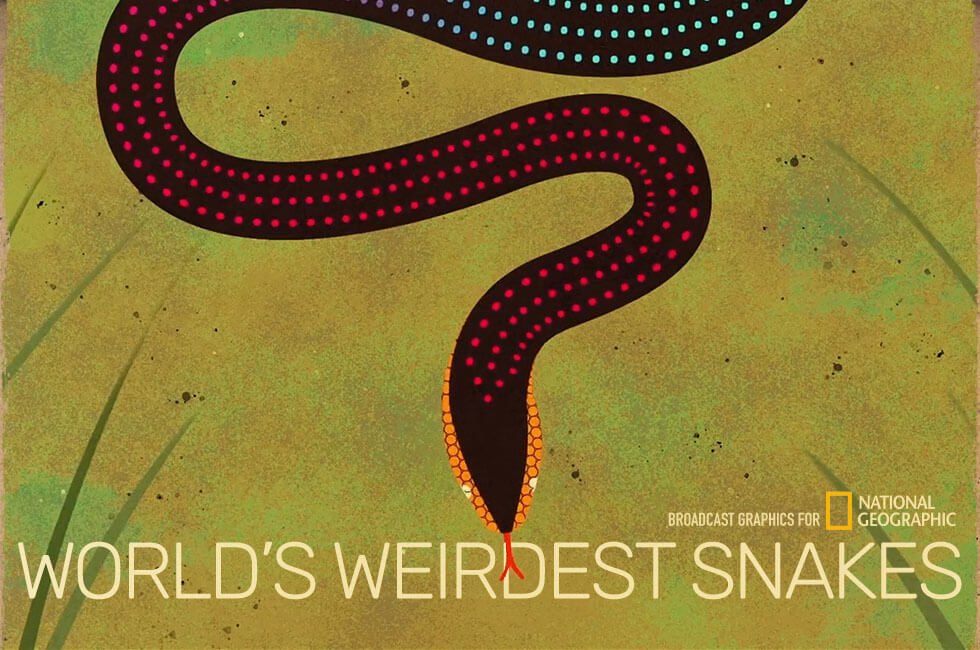 National Geographic Worlds Weirdest Snakes