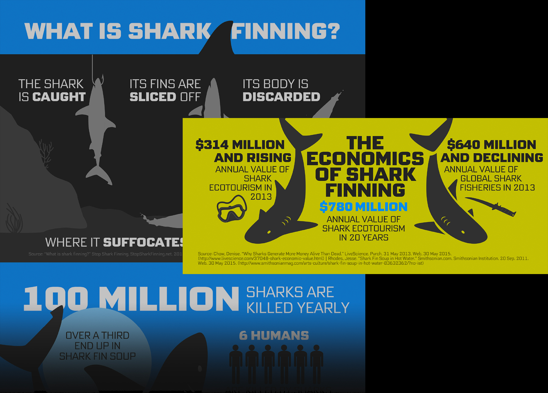 Showcase-Discovery-SharkWeek-Finning-Infographic